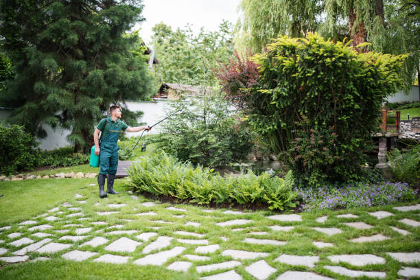 Best Cockroach Control Services  in Fox River Grove, IL