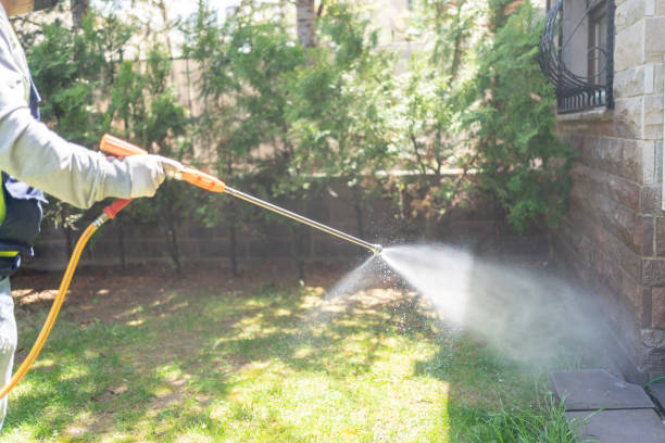 Best Mosquito Control Services  in Fox River Grove, IL