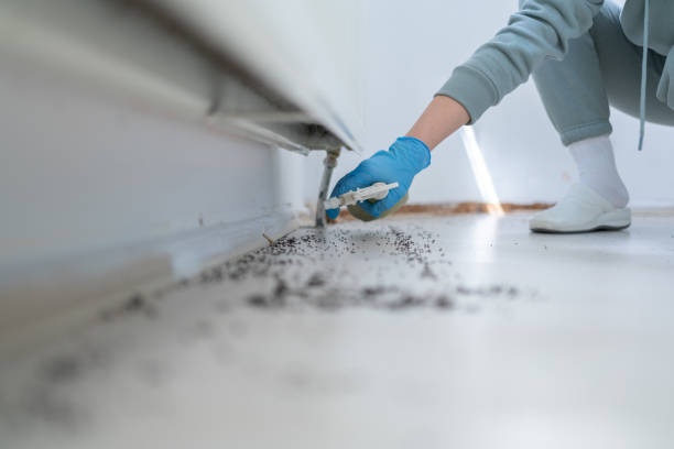  Fox River Grove, IL Pest Control Pros