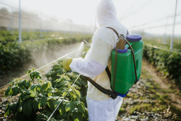 Best Pest Control Near Me  in Fox River Grove, IL
